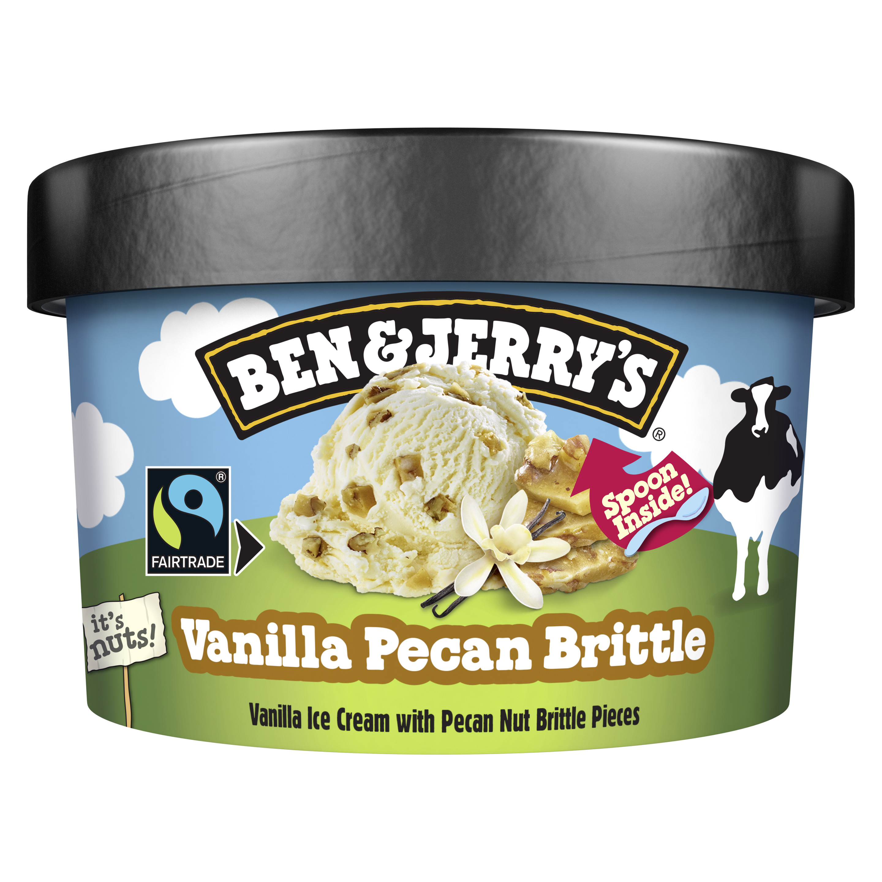 Ben & Jerry's Vanilla Pecan Brittle Eis Becher 100 ml