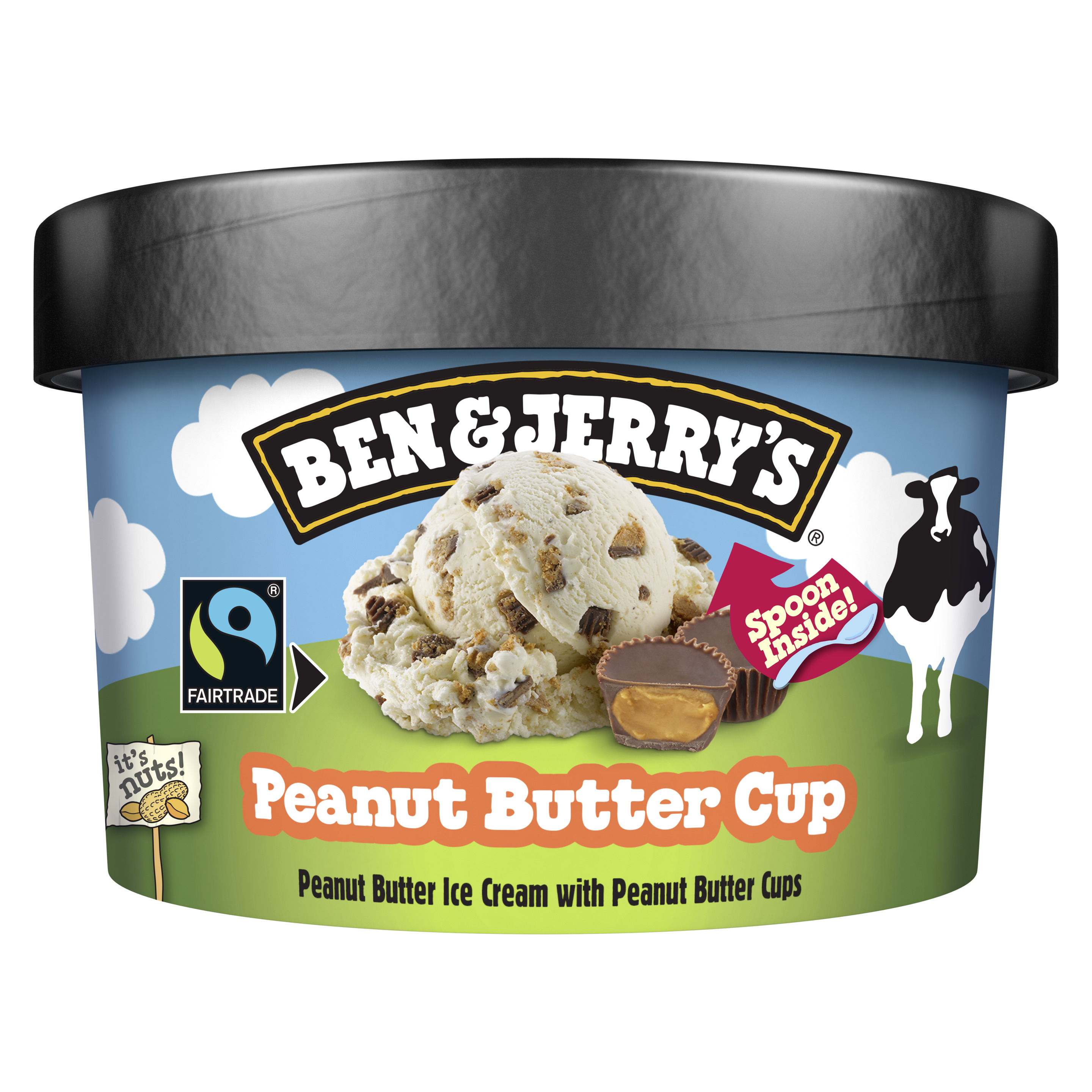 Ben & Jerry's Peanut Butter Cup Eis Becher 100 ml